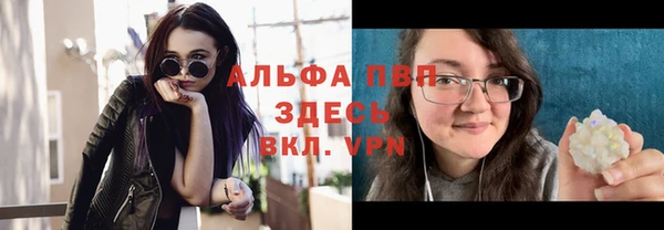 спиды Дмитриев