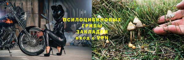 скорость Дмитров