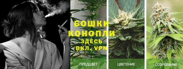 спиды Дмитриев