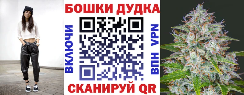 где купить наркоту  Кизилюрт  Бошки Шишки планчик 